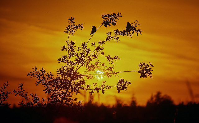 先準備好死之前所需要的錢