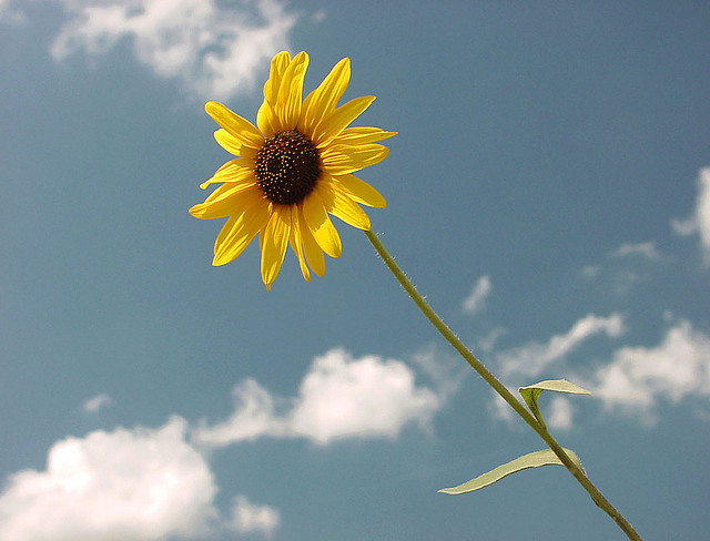 一場知識改革的起點