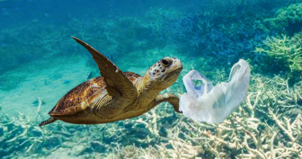 環保新時代 從減少購物用塑膠袋開始（下）