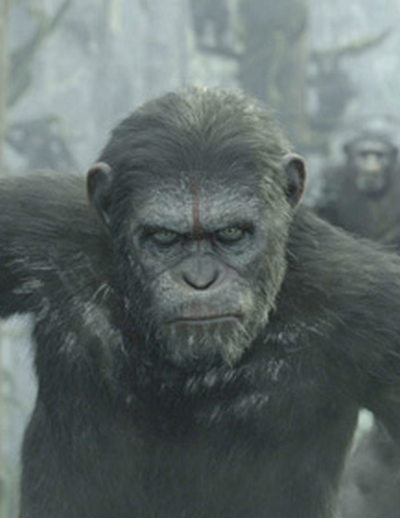 猩球崛起：黎明的進擊 ─ 古老智慧的原始連結