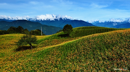 我們只有在平淡的人生中體會不平凡的自己