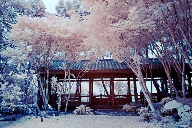 我行走等同我存在