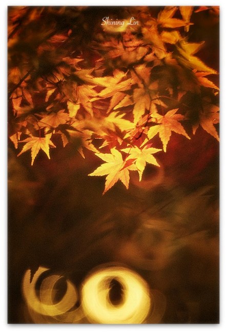 就像，我的生命中有你