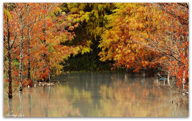 我依然想靠近，依然傾聽，其實是?了尋找。