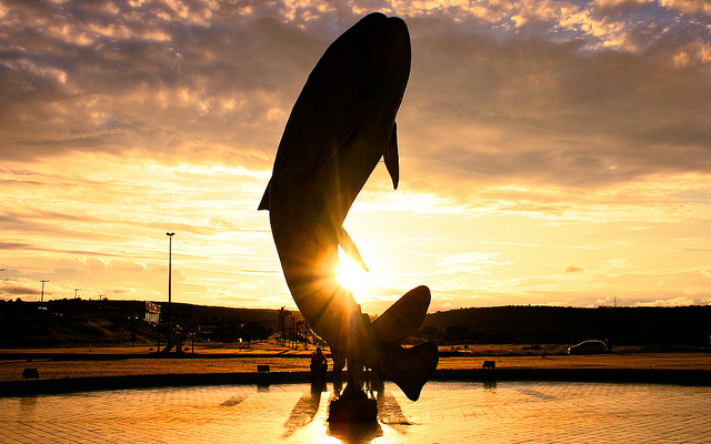 傾聽，能聽出孩子的天賦