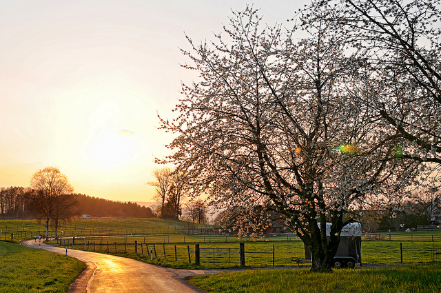 不要讓台灣特殊的補教文化，扼殺了年輕人的未來