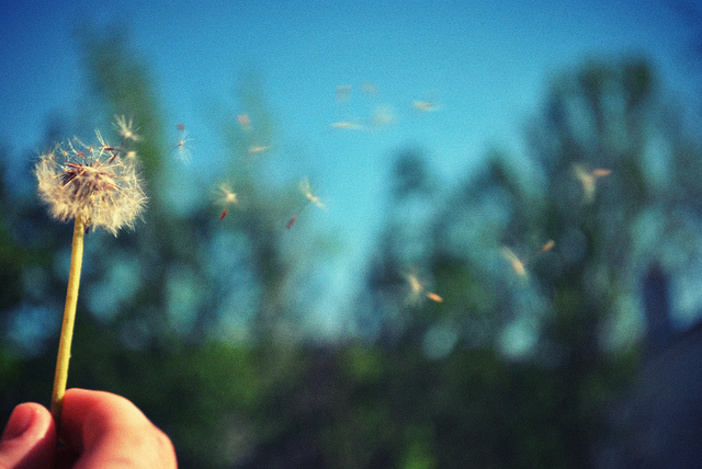 善良這件事情，從來就不是我們想像的那麼困難