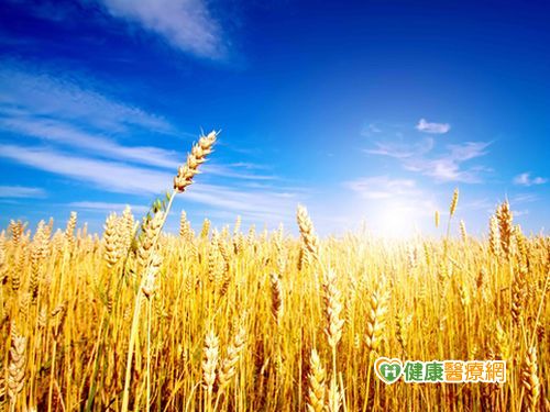 秋冬搶救敏弱肌 天然舒緩及保溼保養最好