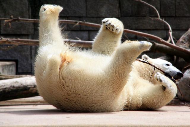 膽固醇越低越好？ 當心疲累憂鬱上身！