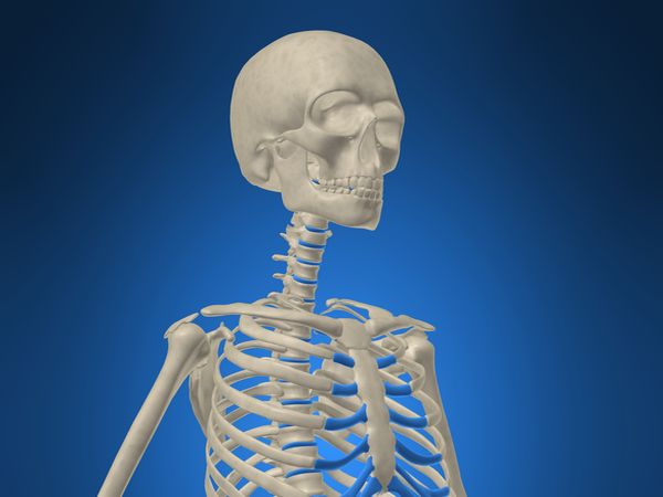 治療骨鬆問題　平時用藥也是關鍵