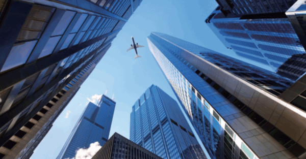 妙計在手 「雞」會難逢