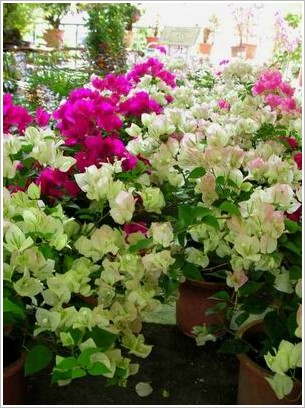 有的時候，問題出在做太多