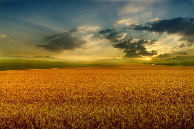 過程精采，就是成功