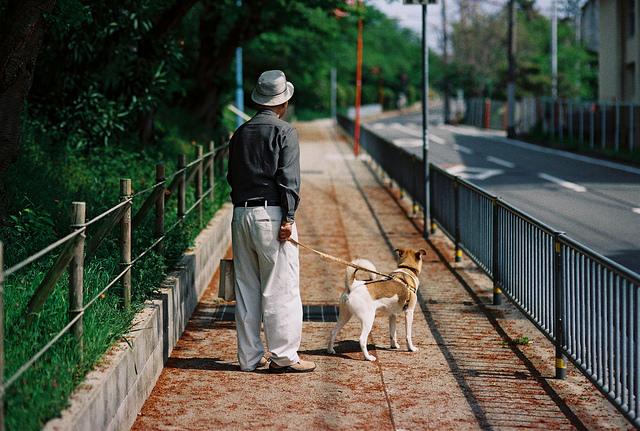 出走，其實是為了可以再回家