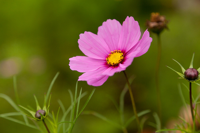 放下，放慢，清風自來