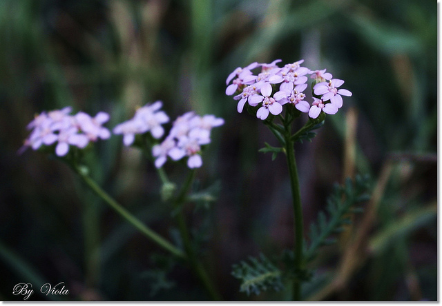 人活著，自在就好！
