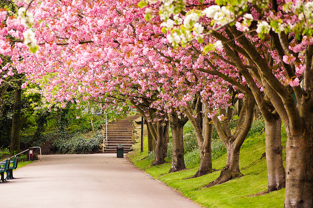 享受美好人生，擁有不如享有