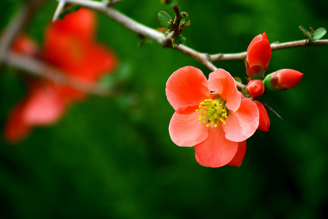 當自己的好父母，把自己愛回來