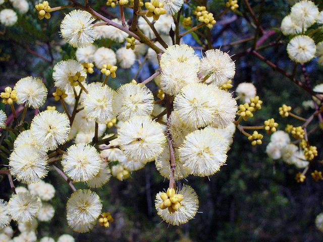 打破習性，不要讓別人猜到你