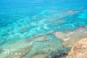 澎湖南方四島國家公園》清澈海水好驚豔！海膽、魚兒就在港口裡