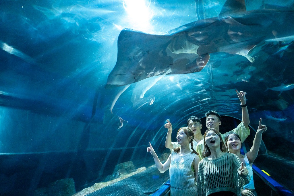 遠雄海洋公園,票價，水族館
