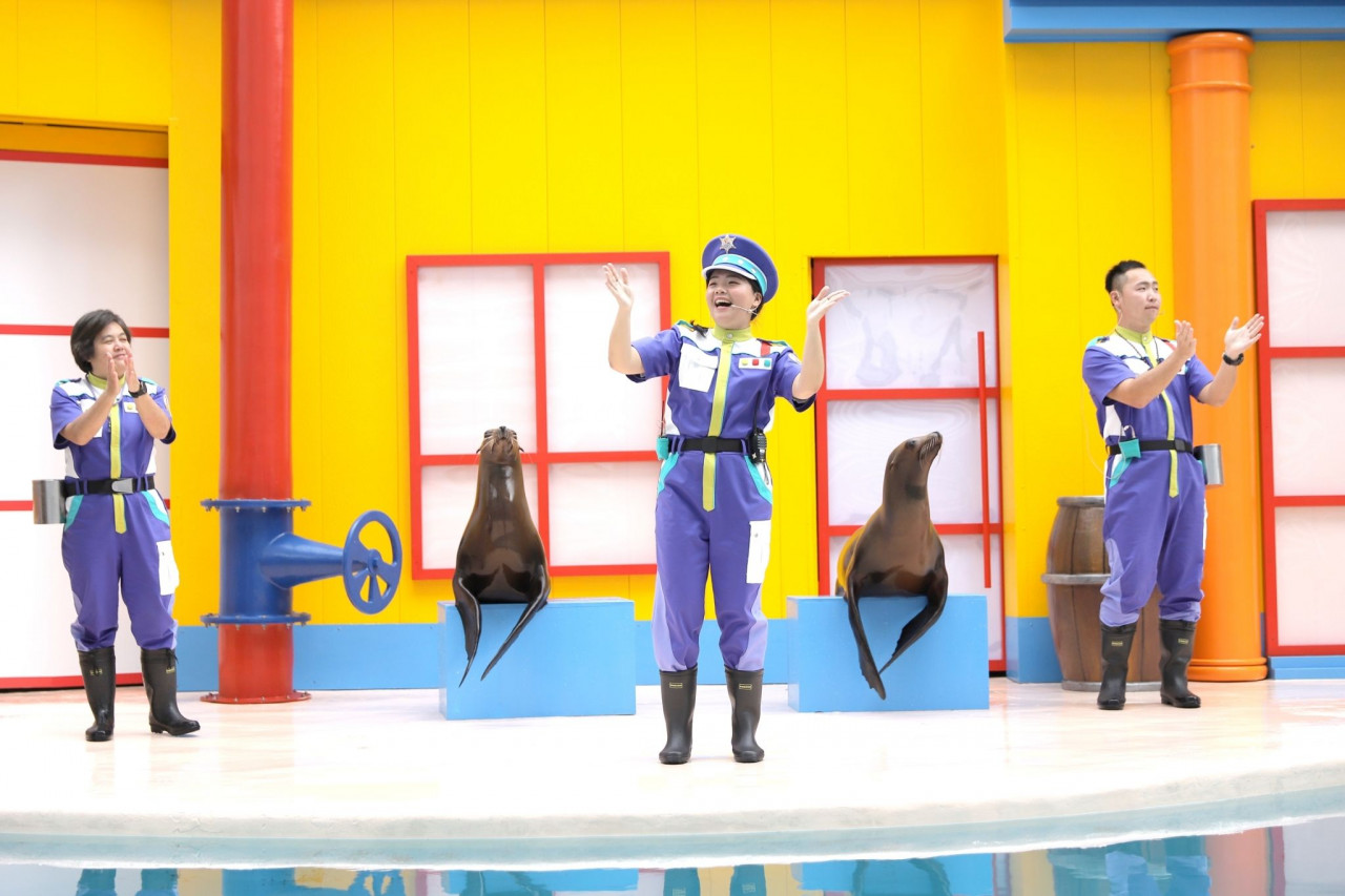 遠雄海洋公園,票價，海獅,表演