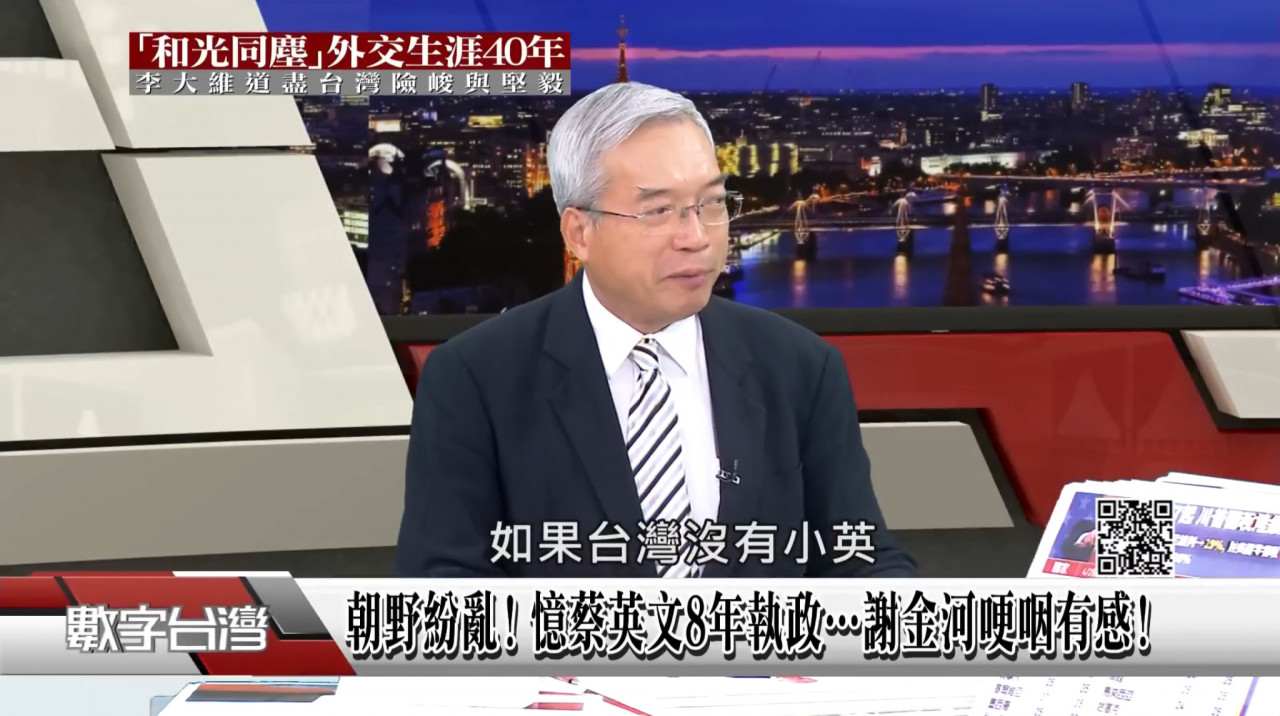 謝金河,蔡英文
