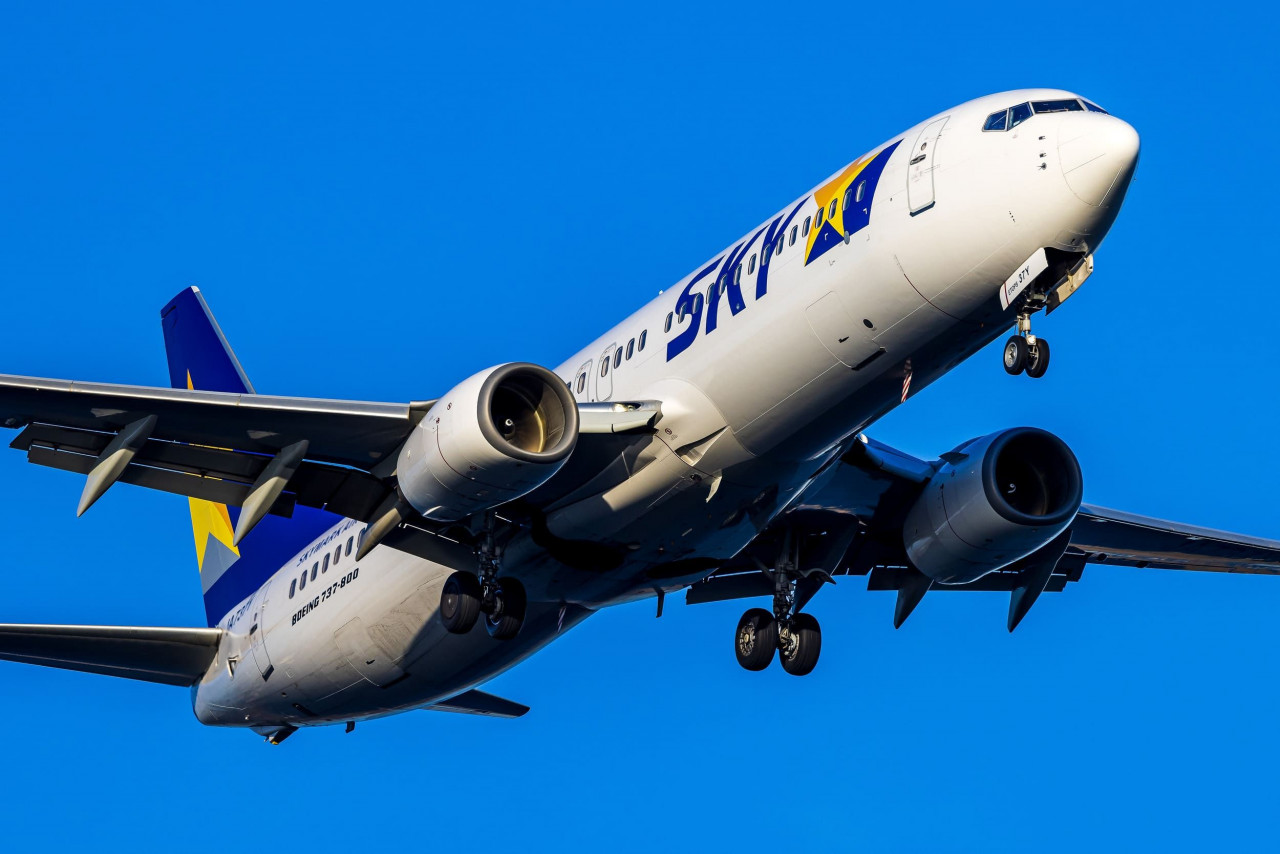 天馬航空,神戶,雄獅,旅天下