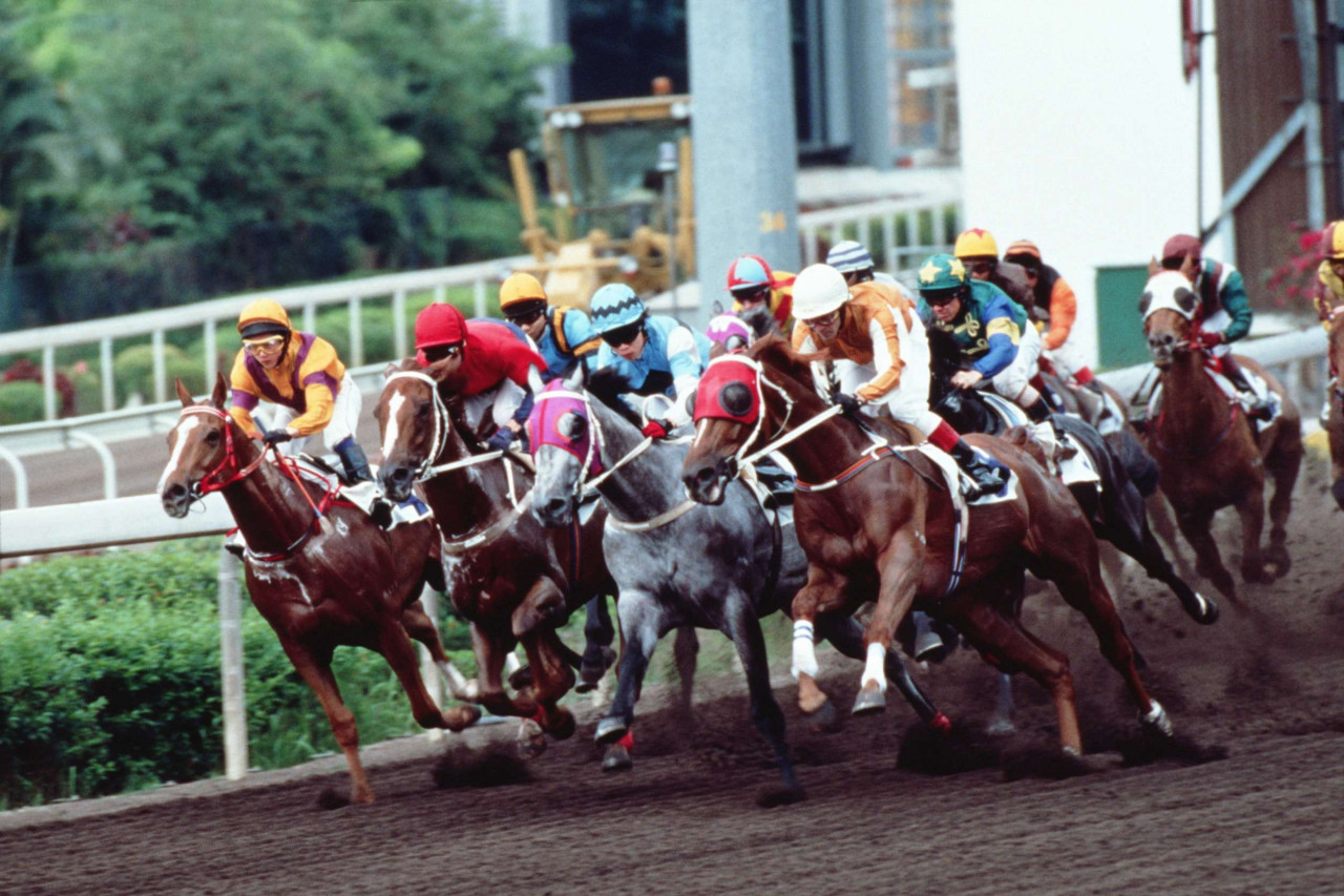 香港景點、美食3天2夜推薦！少爺啤酒廠、世界最佳酒吧…搭乘叮叮車看賽馬、到淺水灣踩沙