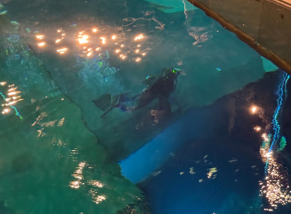 水舞間,劇情,澳門旅遊,水上,潛水