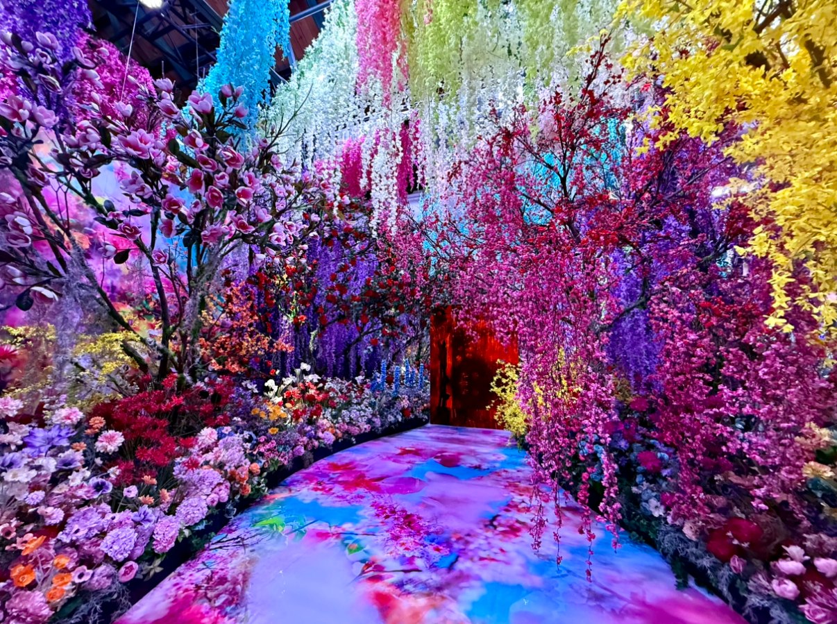 蜷川實花現身《蜷川實花展 with EiM：彼岸之光，此岸之影》