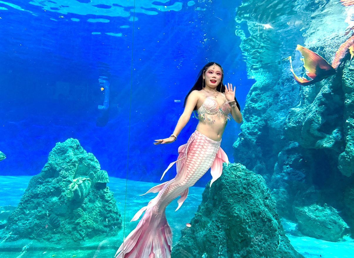 遠雄海洋公園,票價，美人魚，預約，實境秀