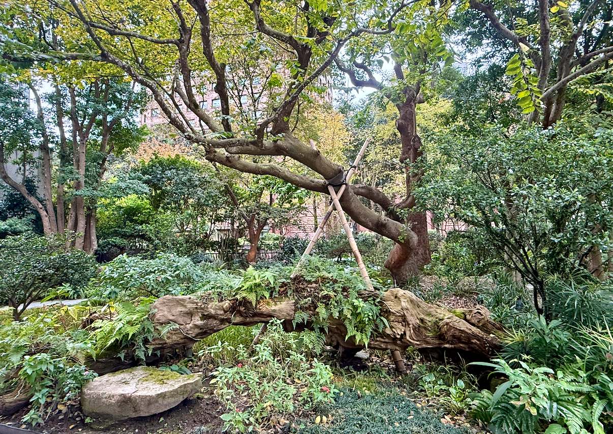 陶朱隱園，庭園