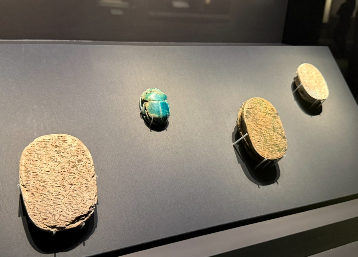 奇美，埃及展，聖甲蟲