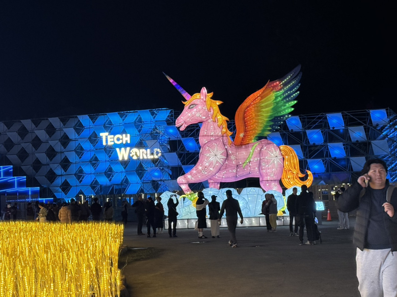 台灣燈會，亮點