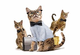 職場越敏銳，事業越成功 多一根筋的力量