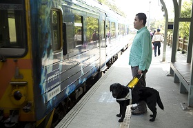 「原來走路可以不跌倒」　這隻導盲犬竟成了他的人生浮木