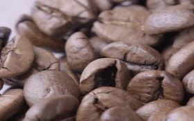 【譚敦慈i健康】保存咖啡好簡單，DIY為健康把關！