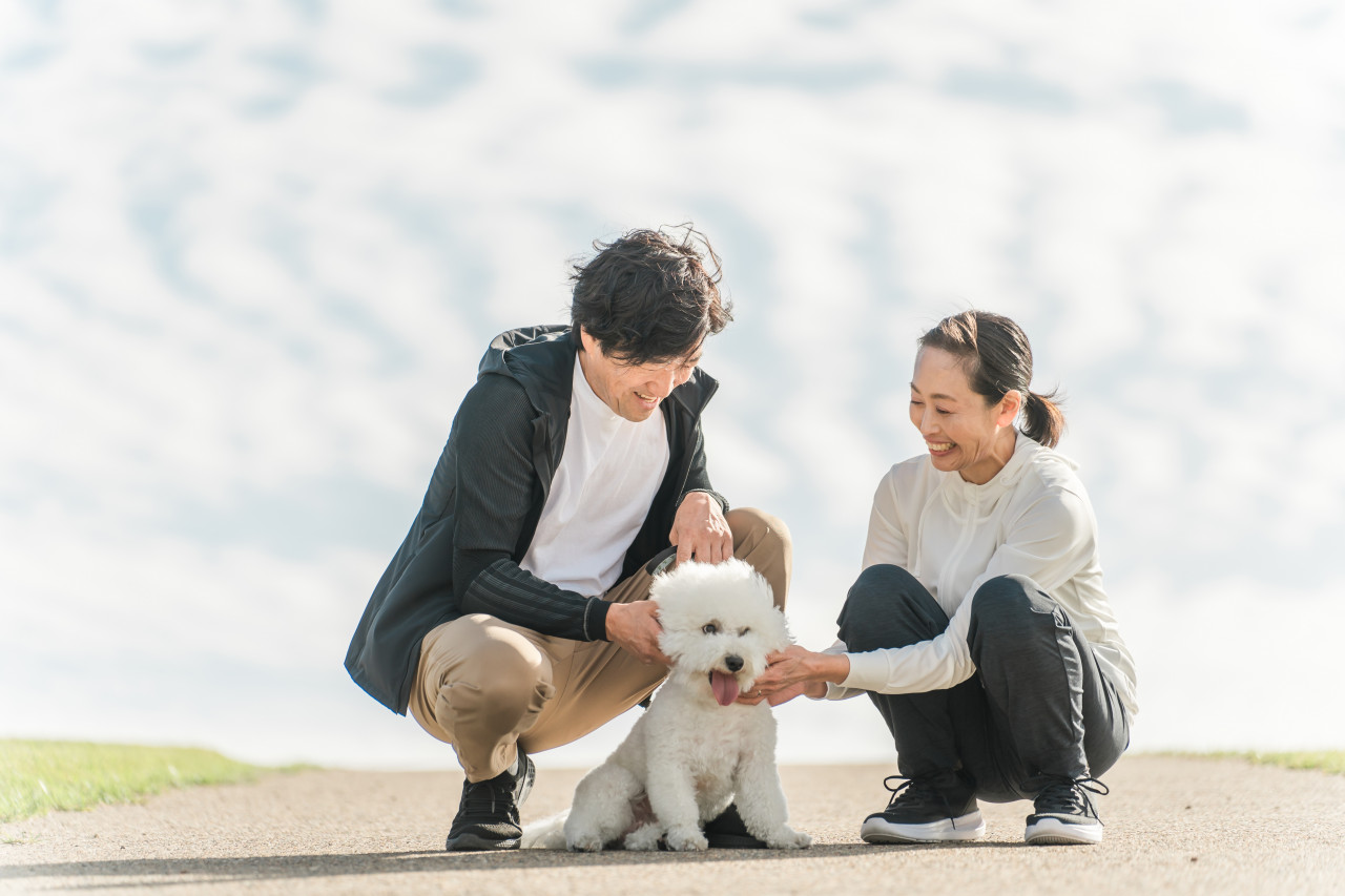 兄弟姊妹特留分刪除，「這兩類人」更該超前部署！一表看懂修法前後差異：沒留遺囑手足反而分更多