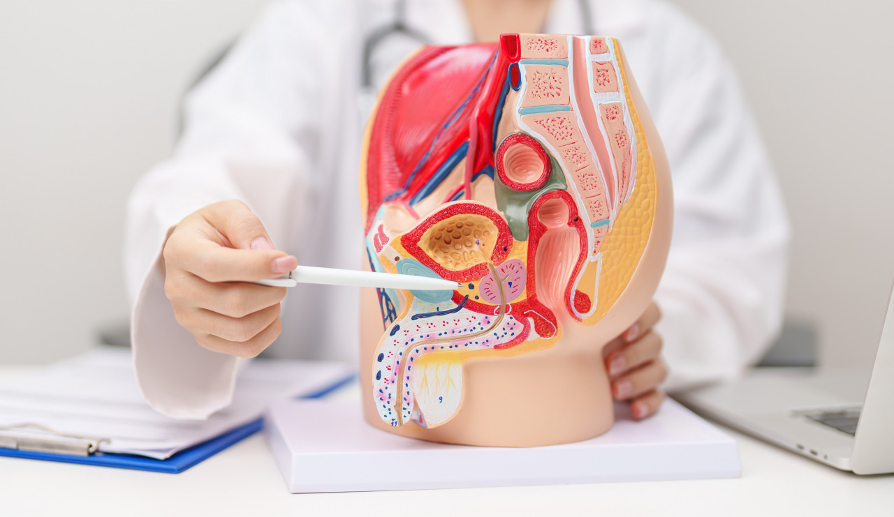 拜登罹攝護腺癌「擴散骨骼外」！兒哽咽盼爸「多抱怨一點」…遠端轉移就沒救了？二合一療法延長存活期