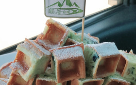 太武山蔡厝古道 發行消費抵用券