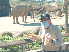 在動物園工作好夢幻？ 他被老虎追到差點沒命！