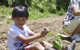 百萬蔬菜免費送 這家人超有愛