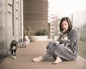 養隻貓、付出愛，擇食老師邱錦伶從毛小孩身上學到的事