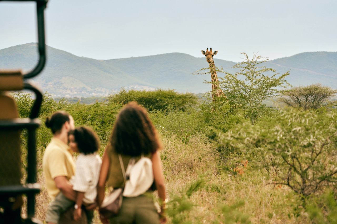 全包式度假村75周年推新據點！到南非野奢露營看野生動物學衝浪、馬來西亞觀察濕地生態住綠建築
