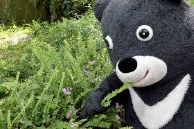 商標註冊失敗 北市府砸百萬為熊讚改版