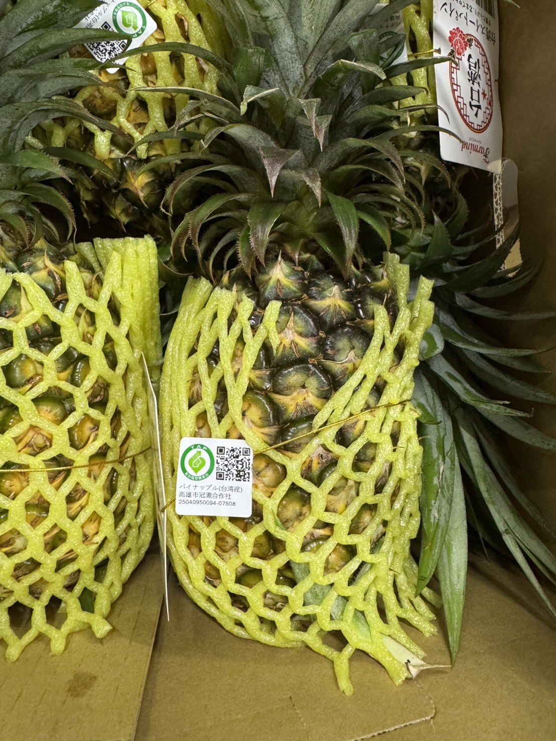 台北農產運銷公司本月出口南台灣的金鑽鳳梨至日本