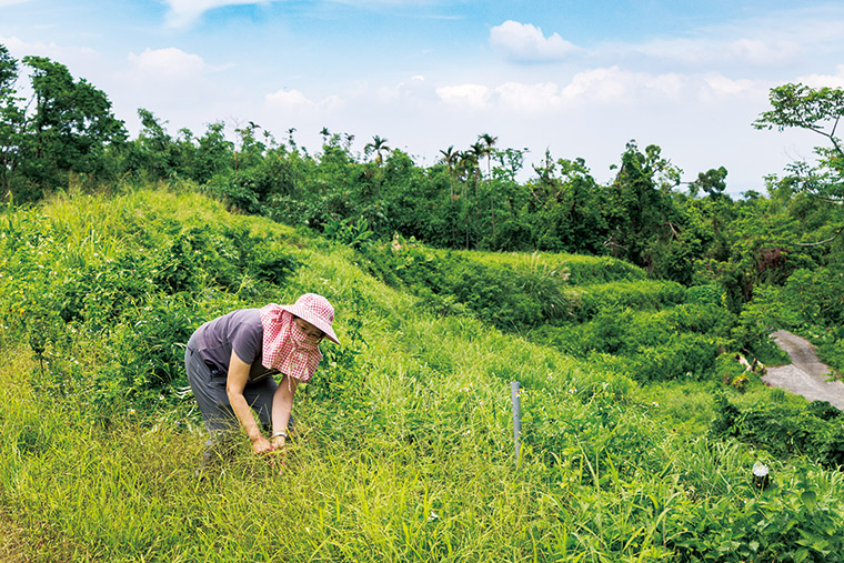 華南社區過去荒廢的石梯田,現在生機盎然,成為小朋友的體育課運動場、村子的公共空間。(攝影:唐紹航)