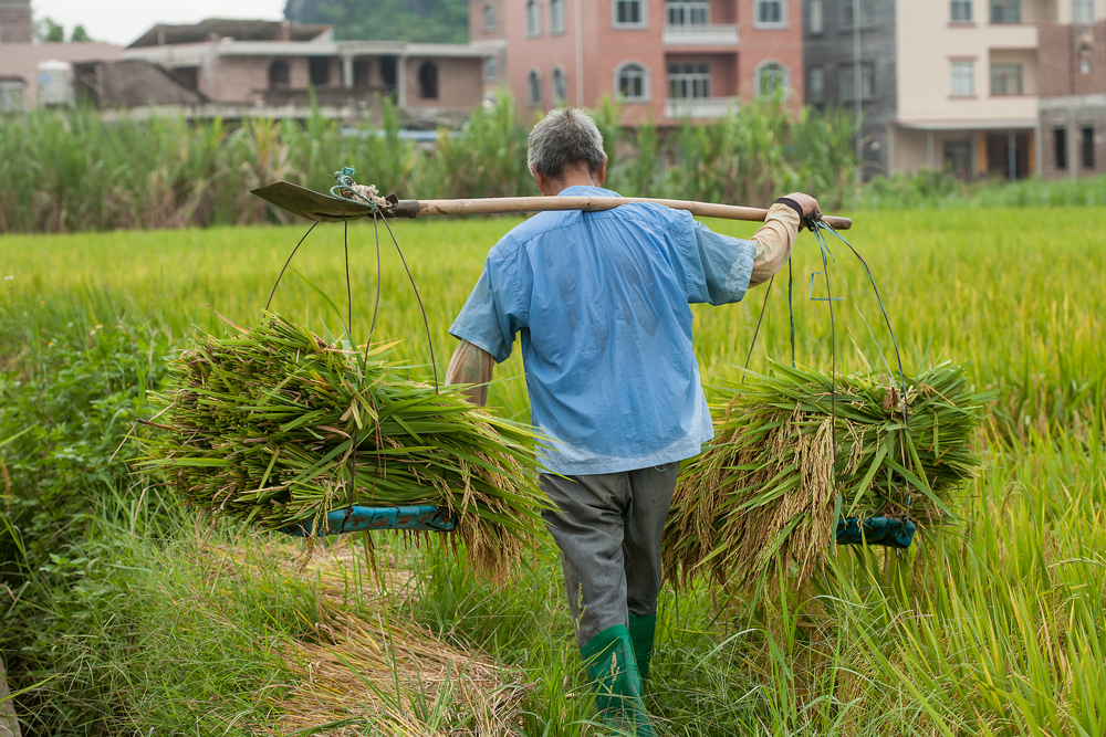 97歲爺爺沒病痛,連高血壓、糖尿病也沒有!1天生活作息曝光