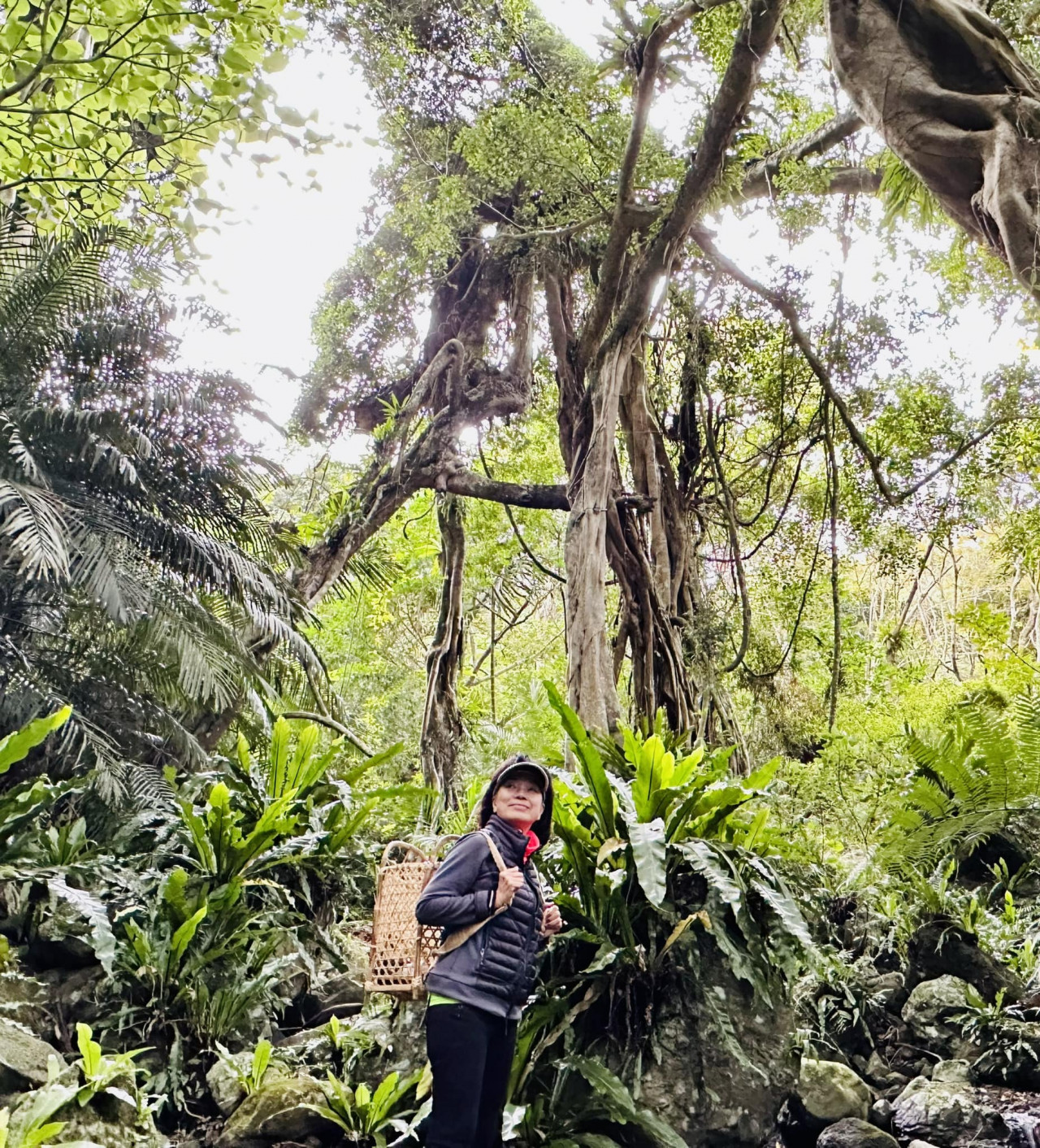 龍應台不只書寫歸隱的山居生活,還蘊含深厚的環境議題宗旨。